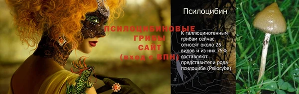 МДПВ Волосово