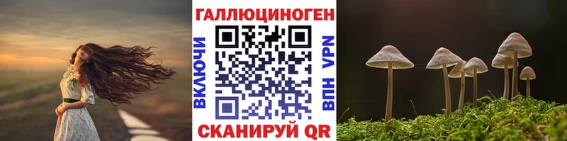 Галлюциногенные грибы Psilocybe где найти наркотики Горячеводский